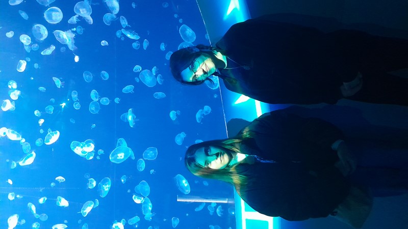 Legrace byla. Zpráva o pobytu německých studentů v Kralupech