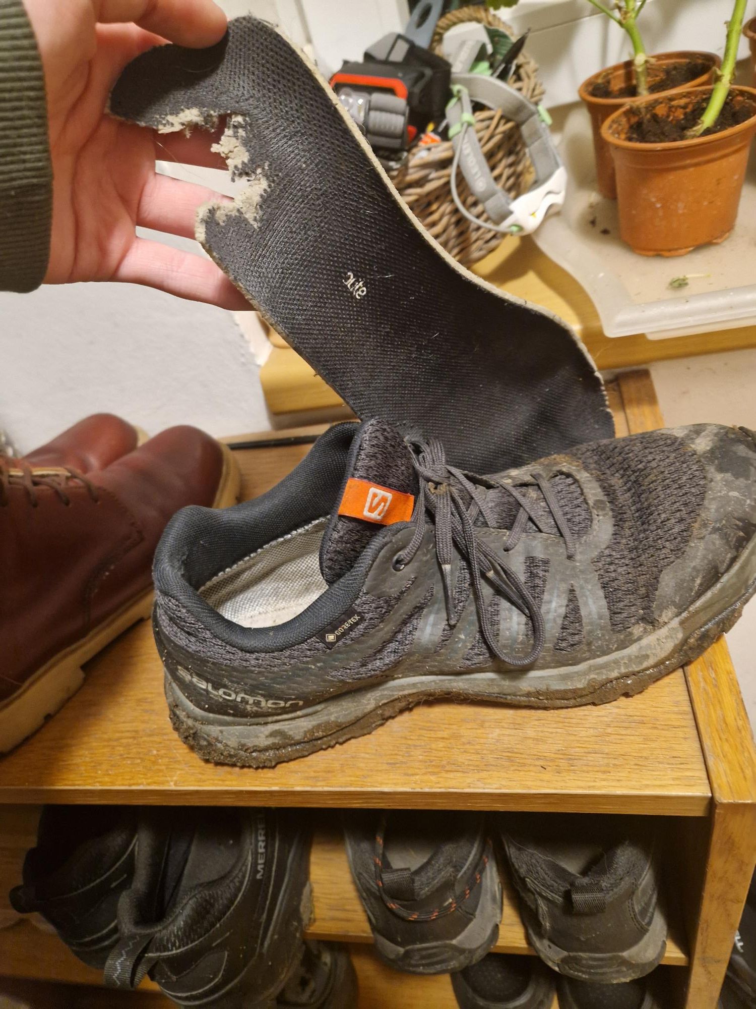 Až do Andorry aneb výsledek Adventního běhání