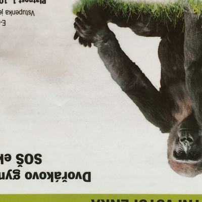 Exkurze do ZOO Praha